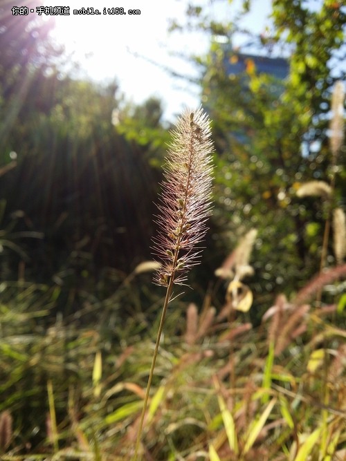 三星Note3领衔 5寸以上大屏拍照智能强机推荐