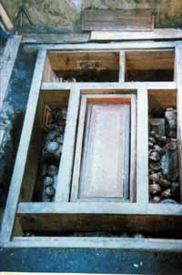 马王堆西汉女尸复活之谜