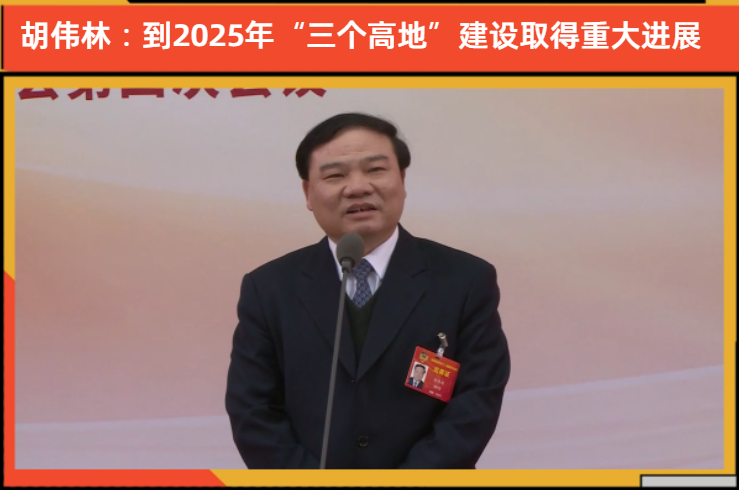 【厅长通道】胡伟林：到2025年“三个高地”建设取得重大进展