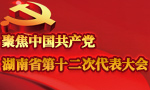 湖南省第十二次党代会收到代表提案162件