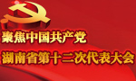 张庆伟当选中共湖南省委书记