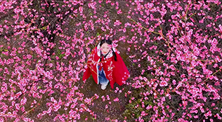 VLOG 丨崀山下，与梅的美丽邂逅